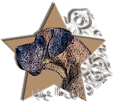 Logo Allevamento du Cuir d'Arabie