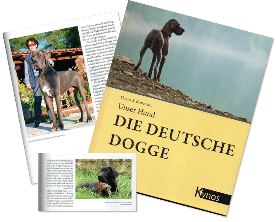 Buch Die Deutsche Doggen
