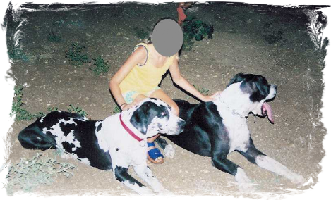 Lara und Zeus v. d. Porta Romana Lara und Zeus v. d. Porta Romana