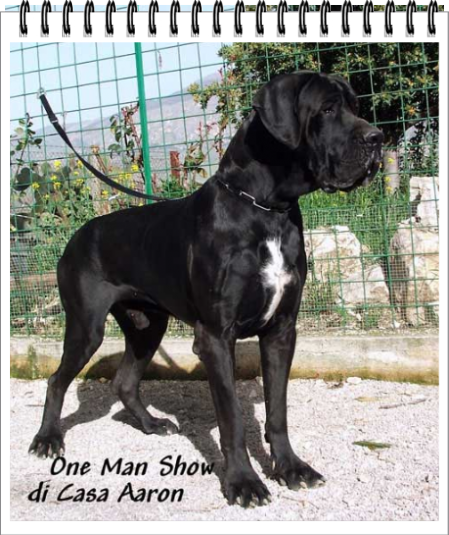 Alano nero